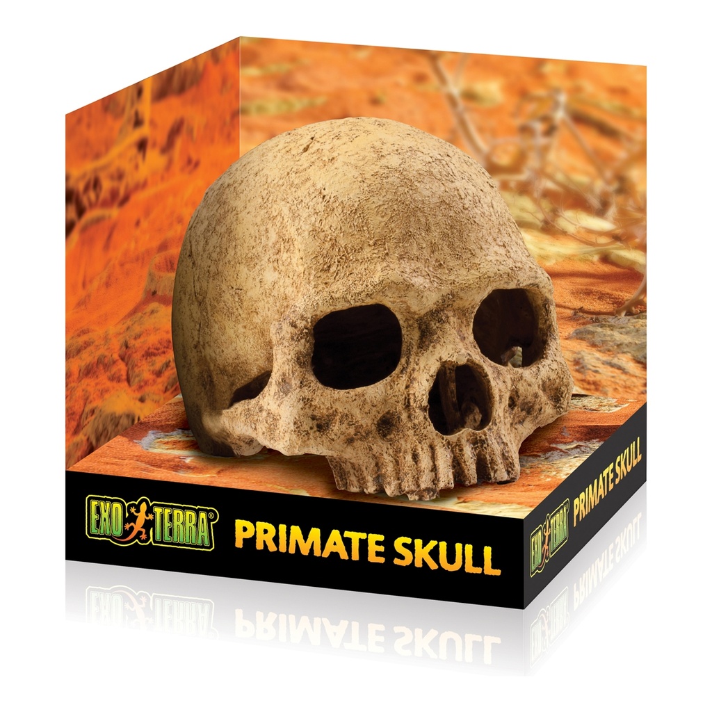 Hagen Terrarium Decor Primate Skull
