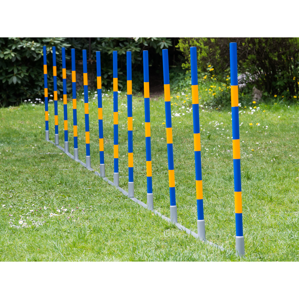 Procyon FCI Professional Agility Slalom