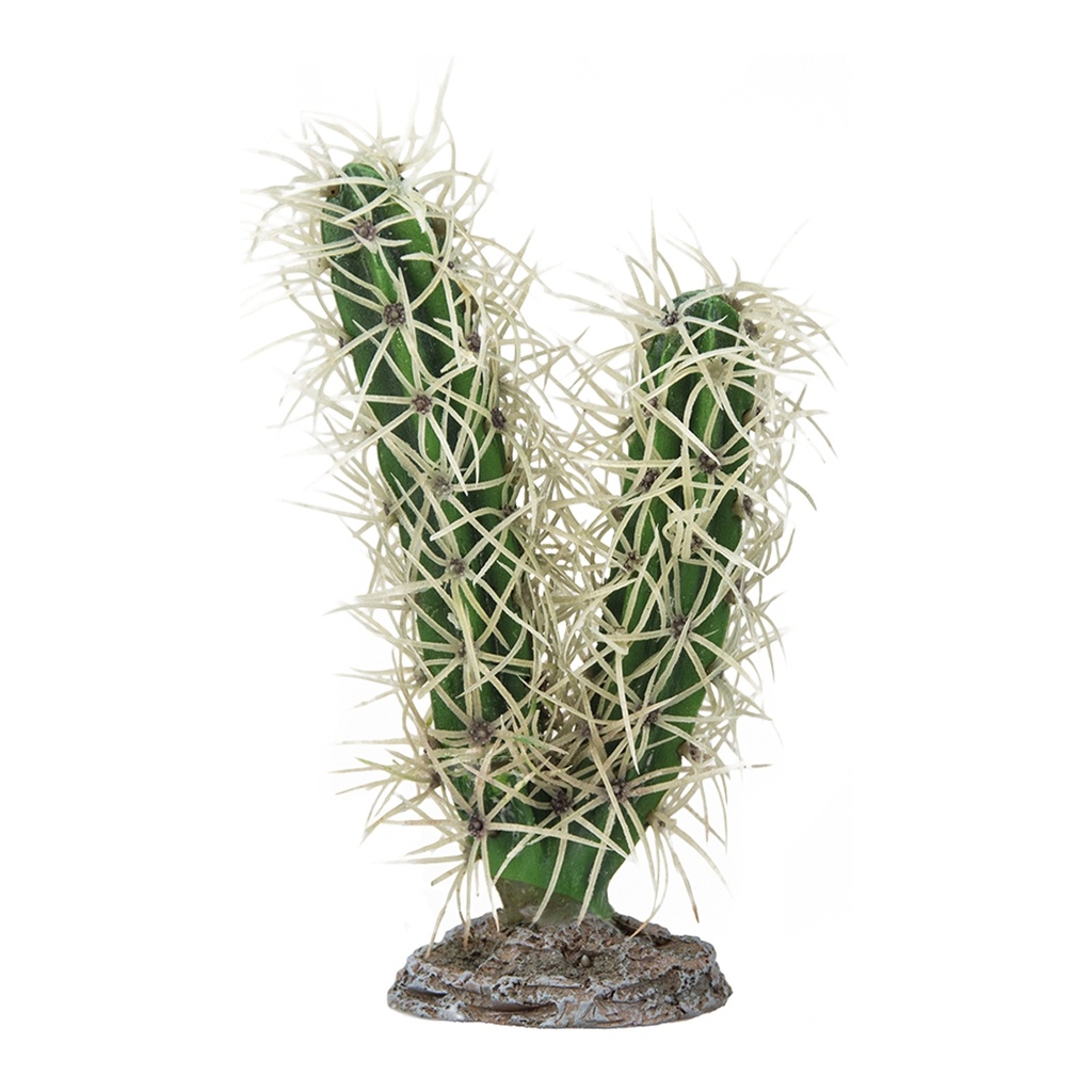 Hobby Cactus Simpson