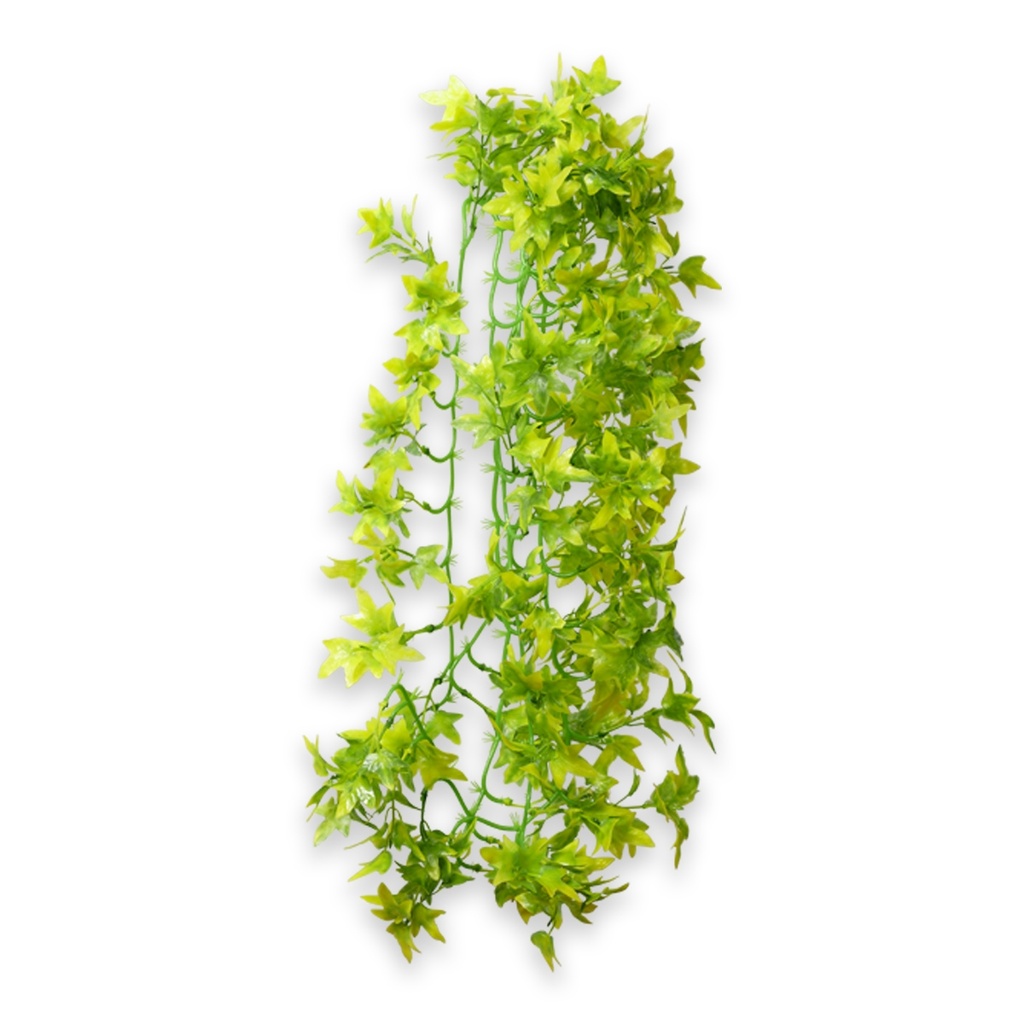 Hobby Climber Ivy 70cm