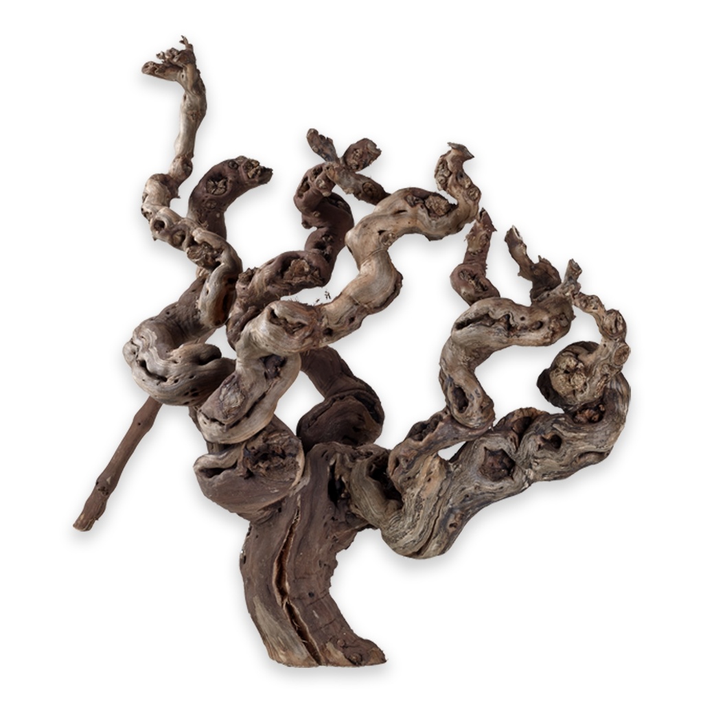 Hobby Terrarium Decoration Grapevines Small 30cm