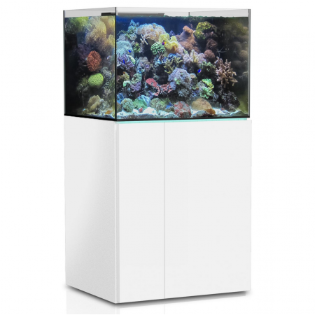 Aqua Medic Armatus 250 Aquarium 75x50x55cm