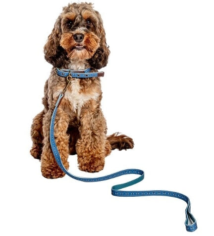 Danish Design FatFace Spotty Bees Dog Lead BLUE/2CM Medium