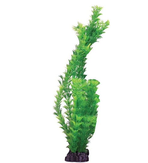 Hugo Kamishi Hornwort Aquarium Plant Décor - GREEN/30CM