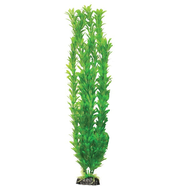 Hugo Kamishi Egeria Aquarium Plant Décor - GREEN/20CM