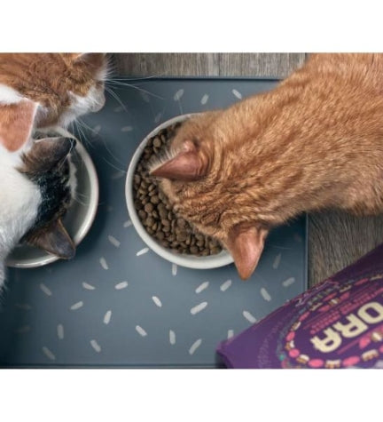 Yora Pet Foods Insect Protein Adult Dry Cat Food - 3.75KG
