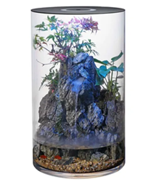 Katachi Lifestyle Takia Fish Home Tube Aquarium - 60X30CM