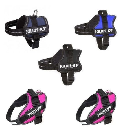 Julius-K9 Power Harness Black for Dogs Size 1