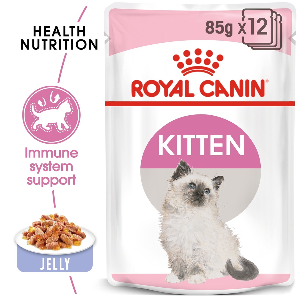 Royal Canin FHN Feline Health Nutrition Jelly Wet Kitten Food 12x85gm