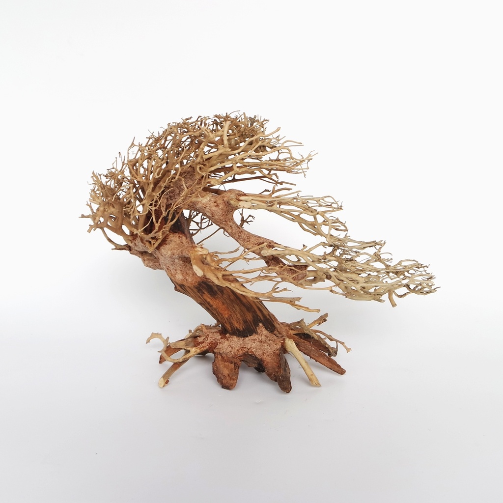 Sv Aquarium Deco Romantic Bonsai Wood - Small - 23X17X10cm - Box