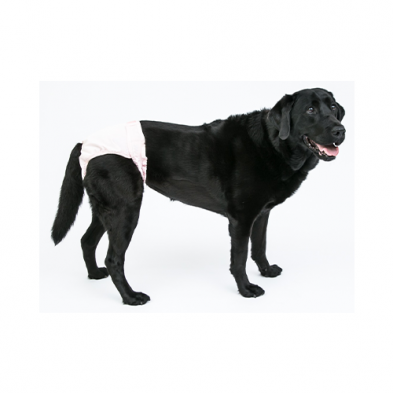 Pooch Pad Pink Poochpants Diaper Large 33 to 55LB PPLG01PK