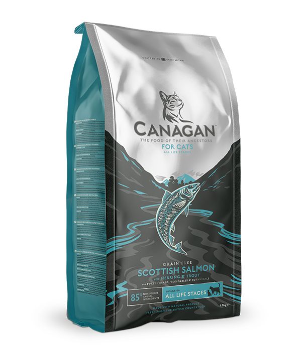 Canagan Scottish Salmon for Cats Dry Food 4kg