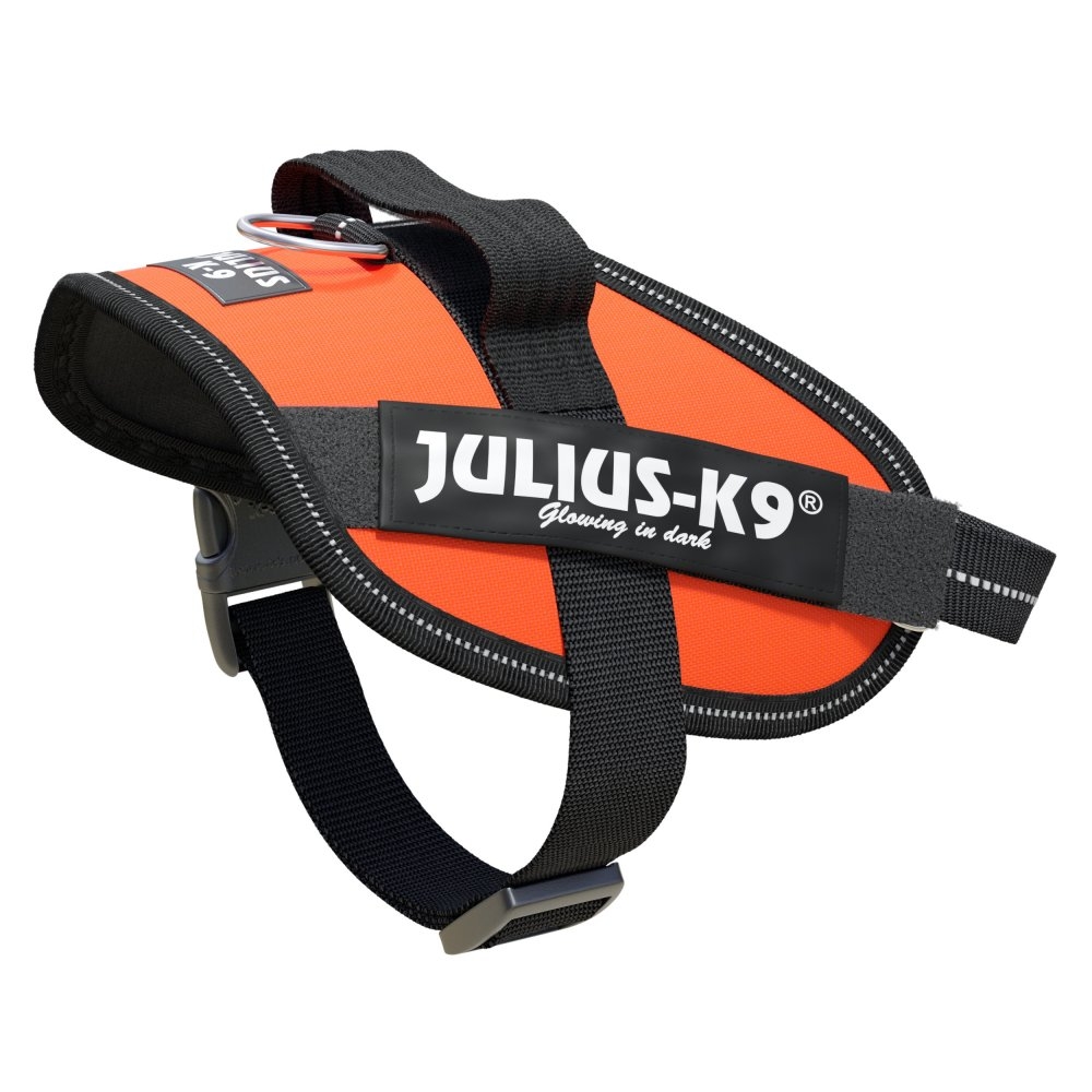 Julius-K9 ICD High Visibility Powerharness UV Orange Size Mini
