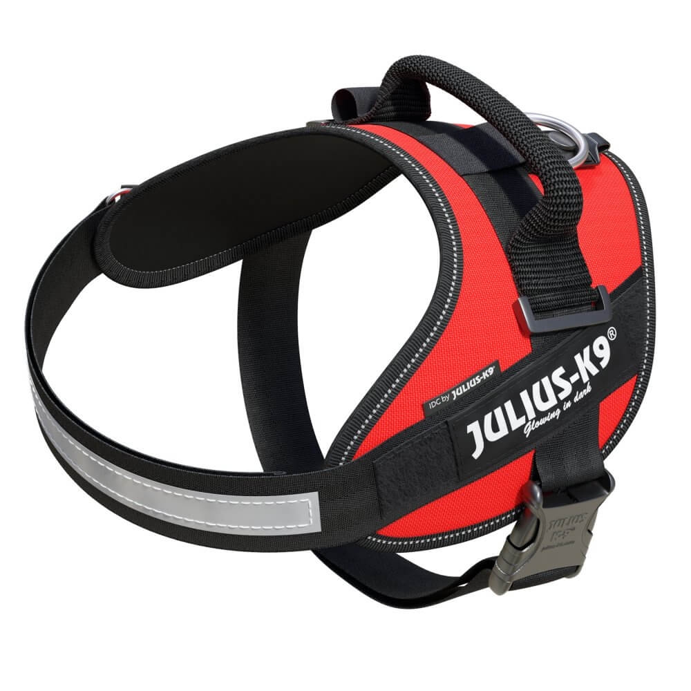 Julius-K9 ICD Powerharness Red Size 0
