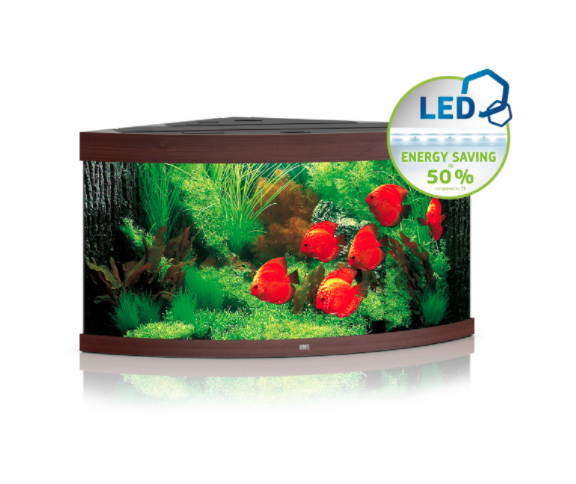 Juwel Trigon 350 LED Dark Wood