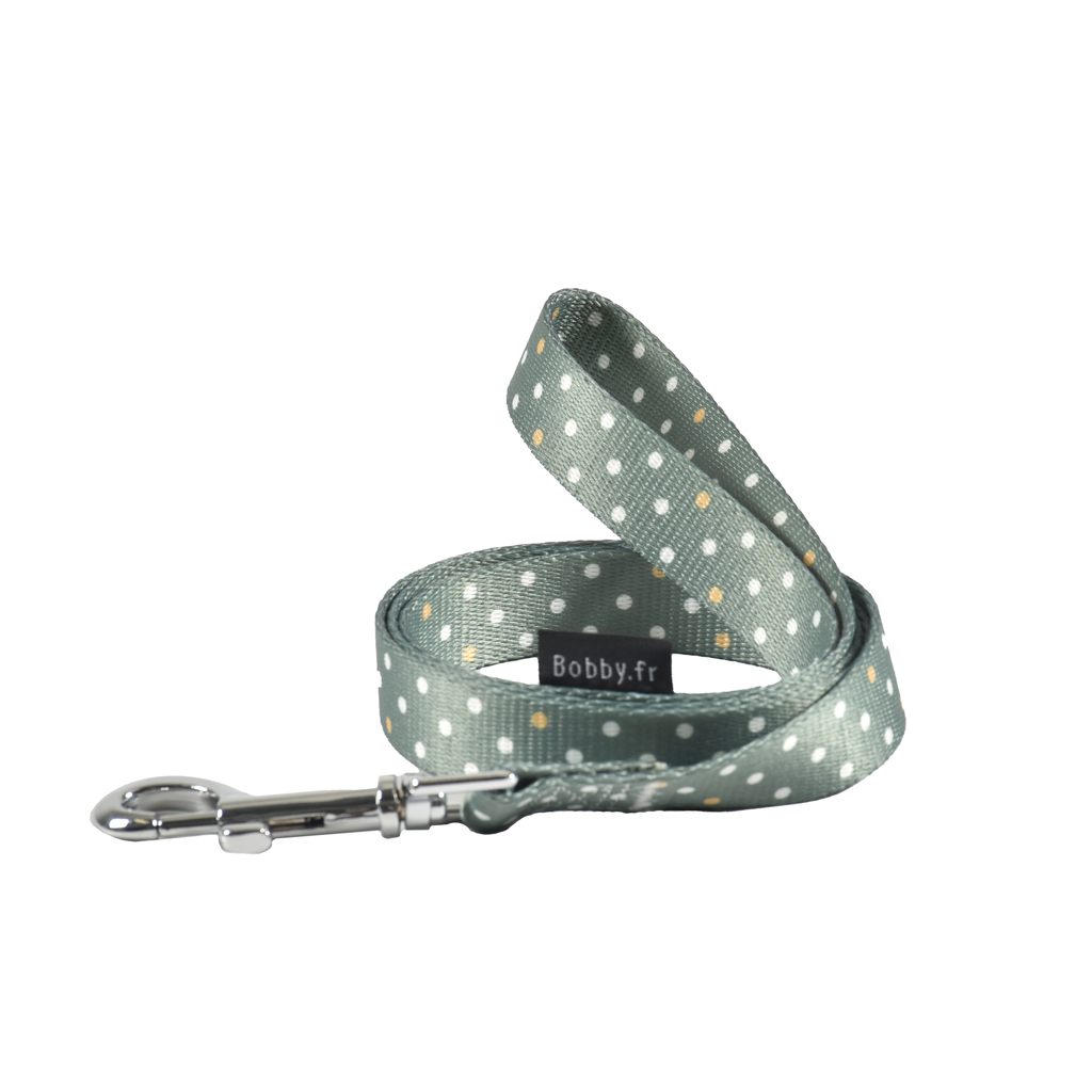 Bobby Pretty Leash Green, Medium