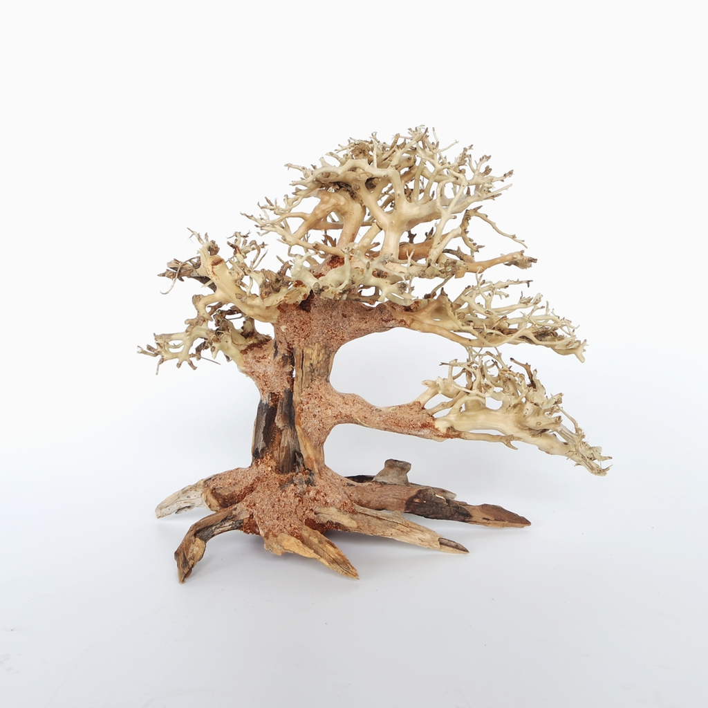 SV Aquarium Deco Pine Bonsai Wood Medium, 30x23x13 cm / pc