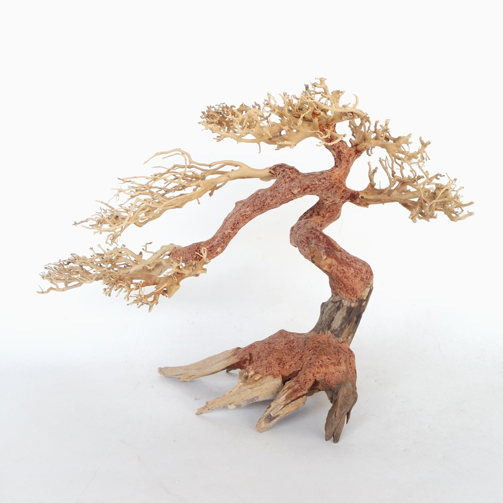 SV Aquarium Deco Claw Bonsai Wood Small, 30x20x10 cm / pc