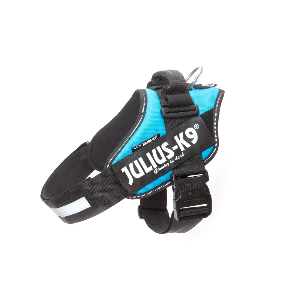 IDC Powerharness Aquamarine Size 2