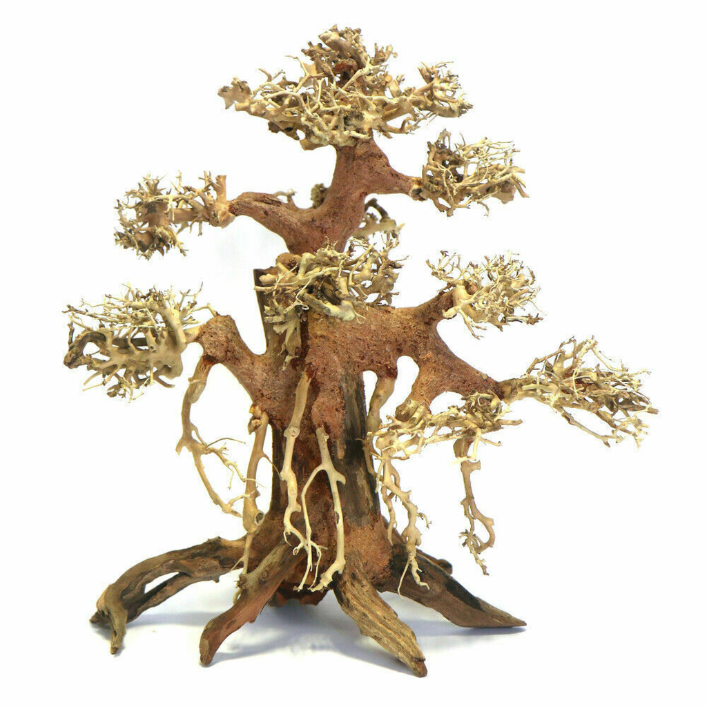 SV Aquarium Deco Banyan Bonsai Wood Medium, 30x30x15 cm / pc