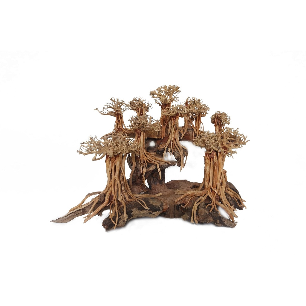 SV Aquarium Deco Layout Angel of Forest XLarge, box