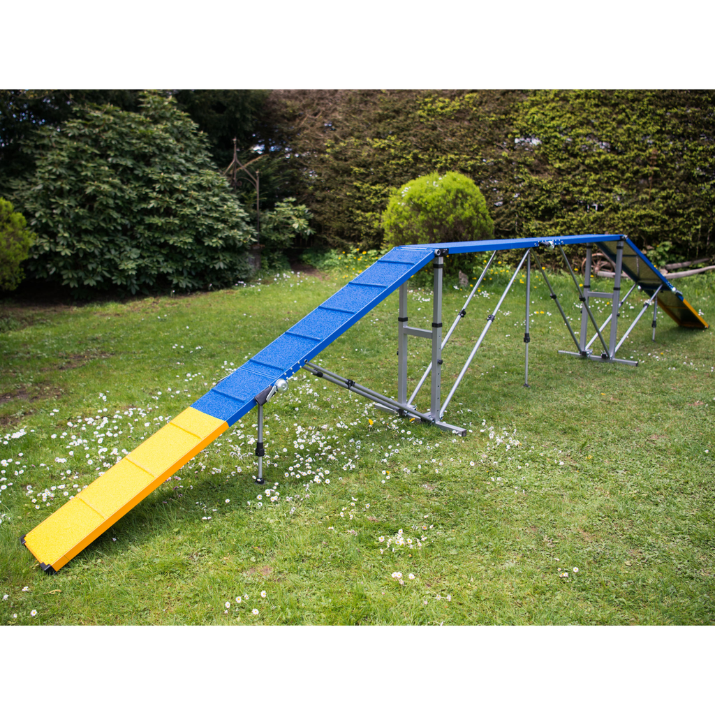 Procyon Agility Professional Bridge (4 parts)