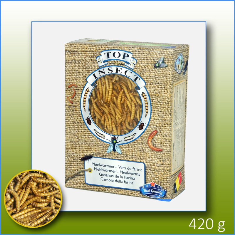 Kiezebrink Frozen Mealworms 1 L