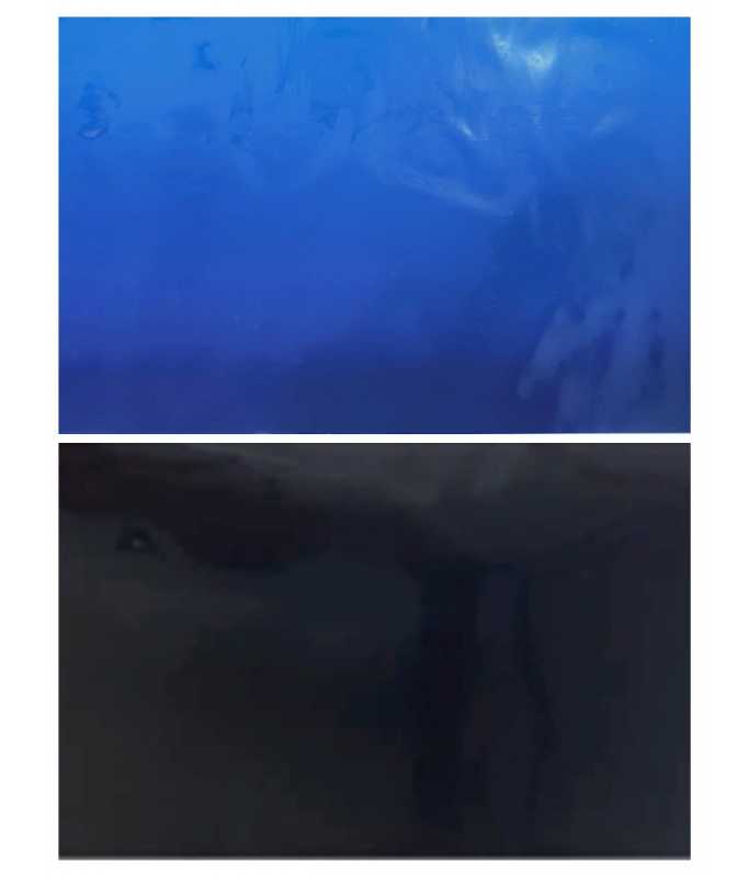 KW Zone Aquarium Backscreen 15"x15M F4 / F5