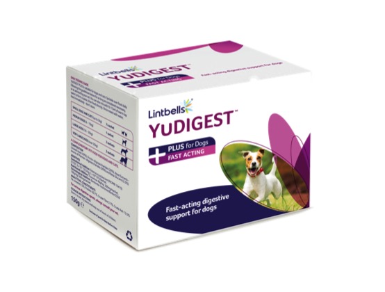 Lintbells YuMOVE Yudigest Plus 6 Sachets