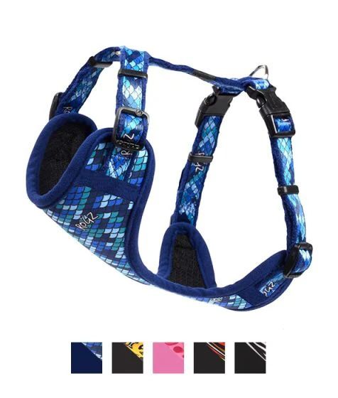 Rogz Fashion Dog Harness BLUE-Medium