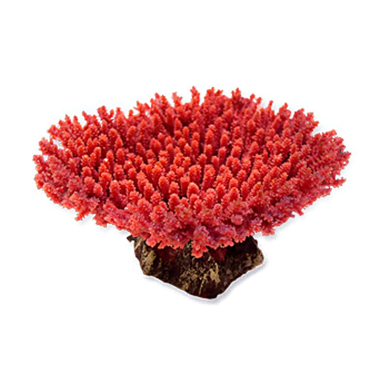 Nature's Image Ni-02E Acropora Hyacinthus Red 5.5x4.5x2.5 Inch. Table Acropora Replica Coral