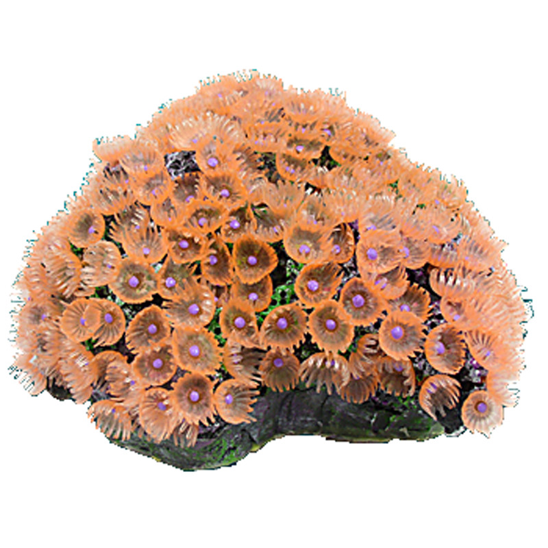 Nature's Image Ni-115B Protopalythoa Pink 6.75x5.75x3.5 Inch. Button Polyp Baby Replica Coral