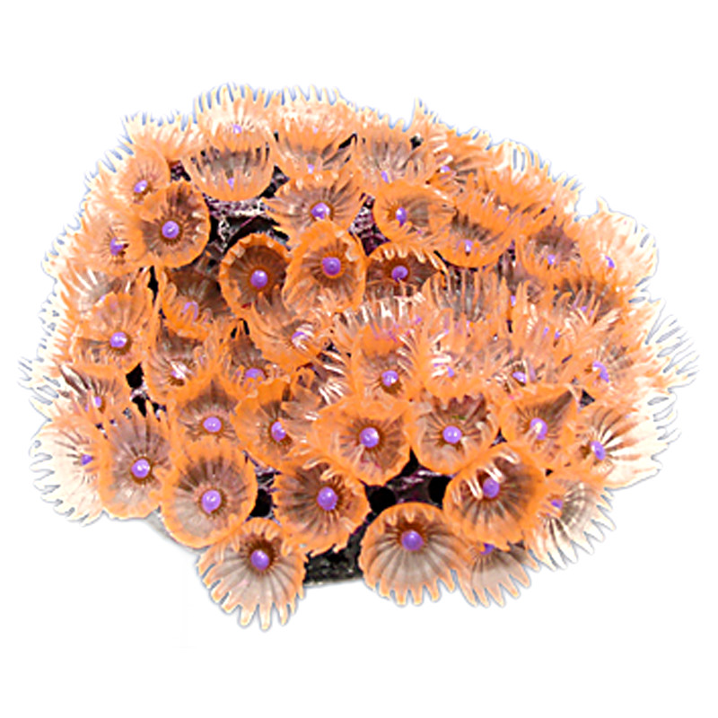 Nature's Image Ni-116B Protopalythoa Orange 3.25x3.5x3.125 Protopalythoa Replica Coral