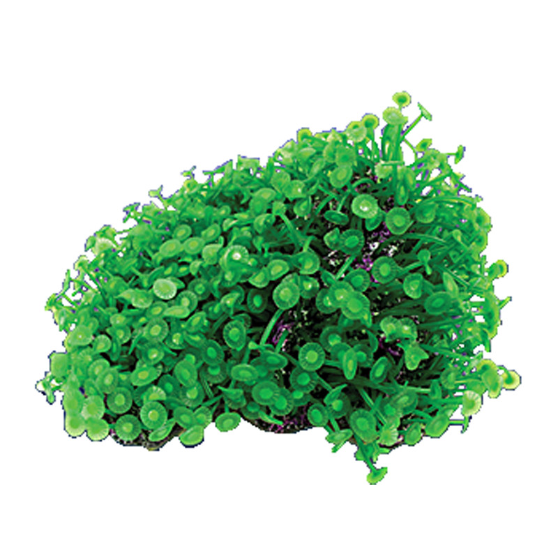 Nature's Image Ni-117A Goniopora Minor Green 8x6.75x3.75 Inch. Replica Coral