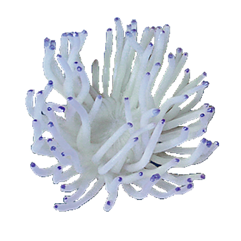Nature's Image Ni-39C Radianthys White 5.5x5x3 Inch. Anemone Replica Coral