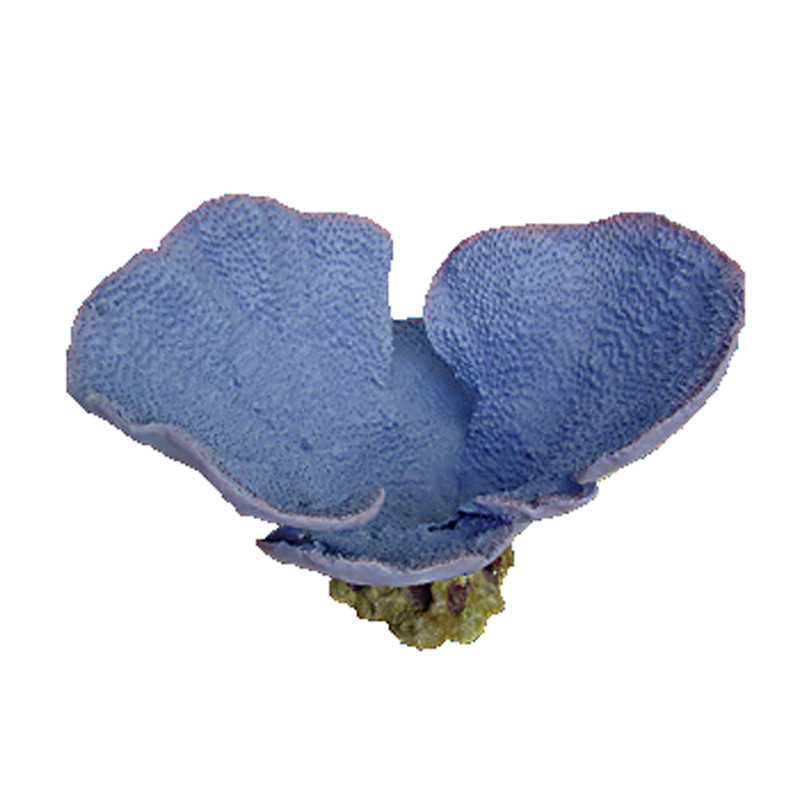Nature's Image Turbinaria Mesenterina Blue Bowl Replica Coral 17.5x13x12"
