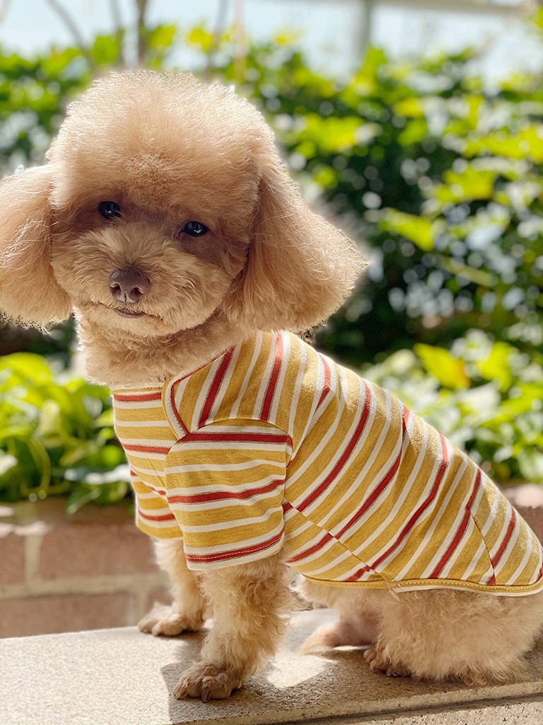 Pets Club Soft Cotton Striped Dog Cloth Summer T-Shirt - L, YELLOW
