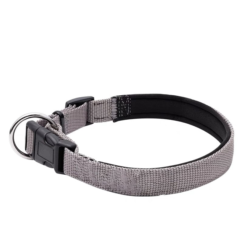 Helepet Adjustable Nylon Dog Collar - S, GRAY