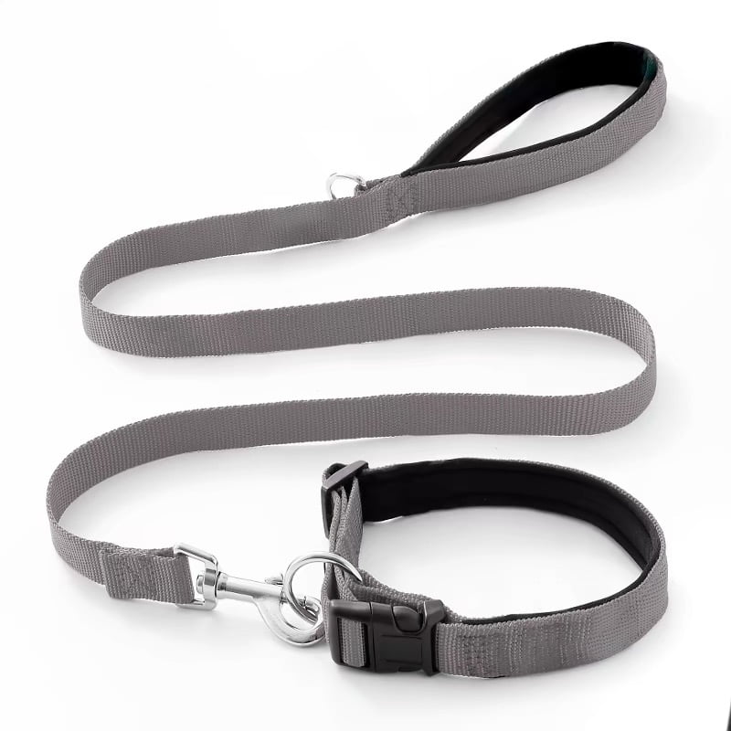 Helepet Nylon  Dog Leash Collar Set - L, GREY