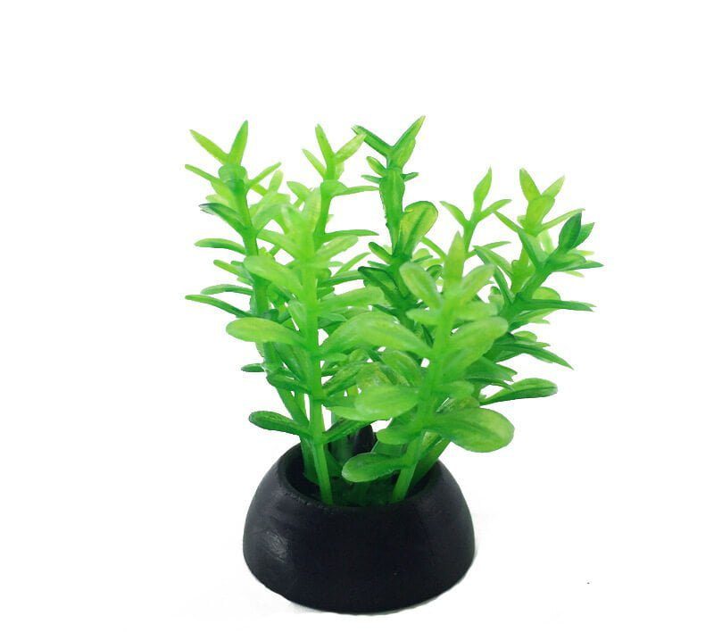 Aquarium Plastic  Plant - S240-W2.5*H5 Cm(Sold By 20 Pcs/Pack)