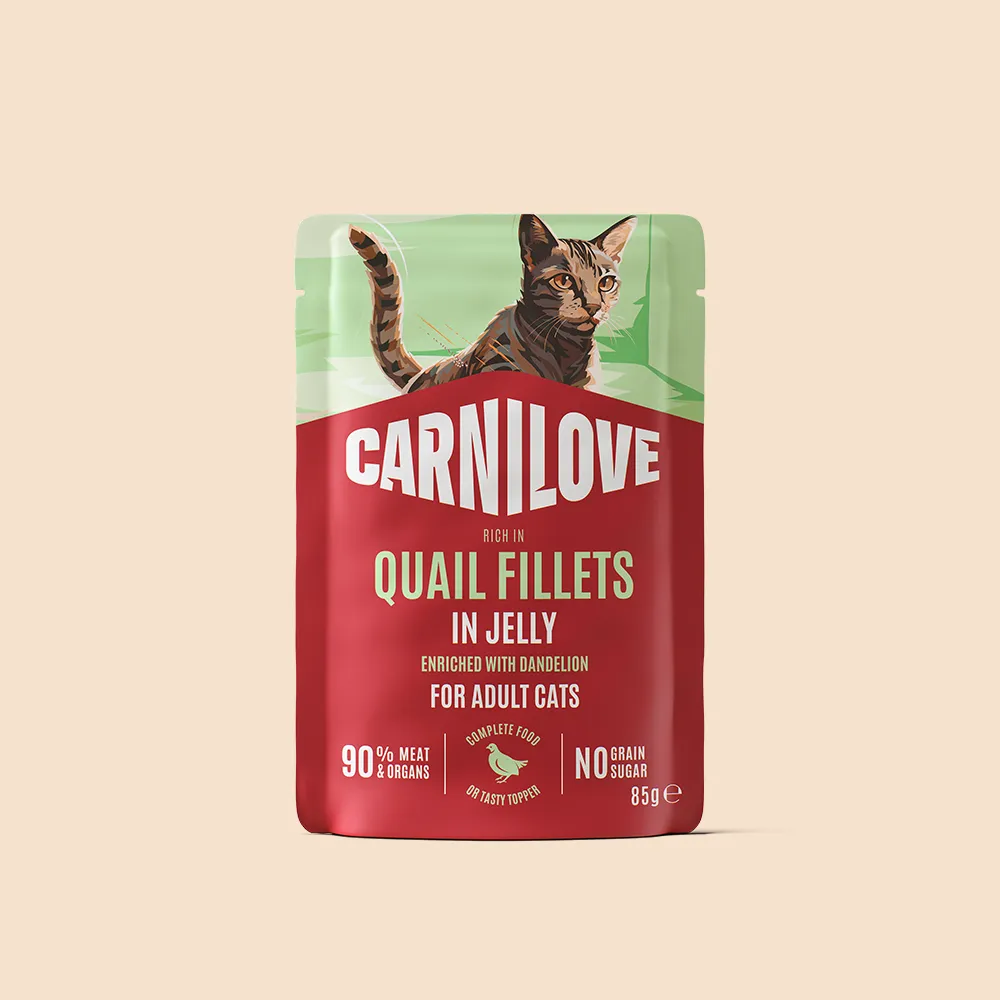 Carnilove Quail Fillets in Jelly enriched with Dandelion Wet Cat Food Pouch 24x85g