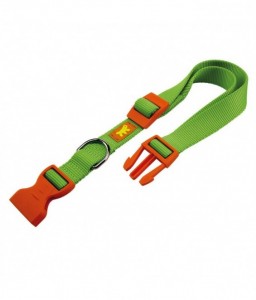 Ferplast C20 / 56 Club Collar Green