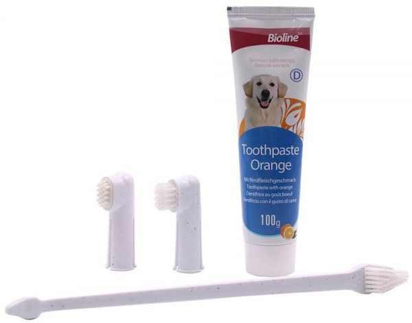 Bioline Dental Hygiene Set Orange 100gm