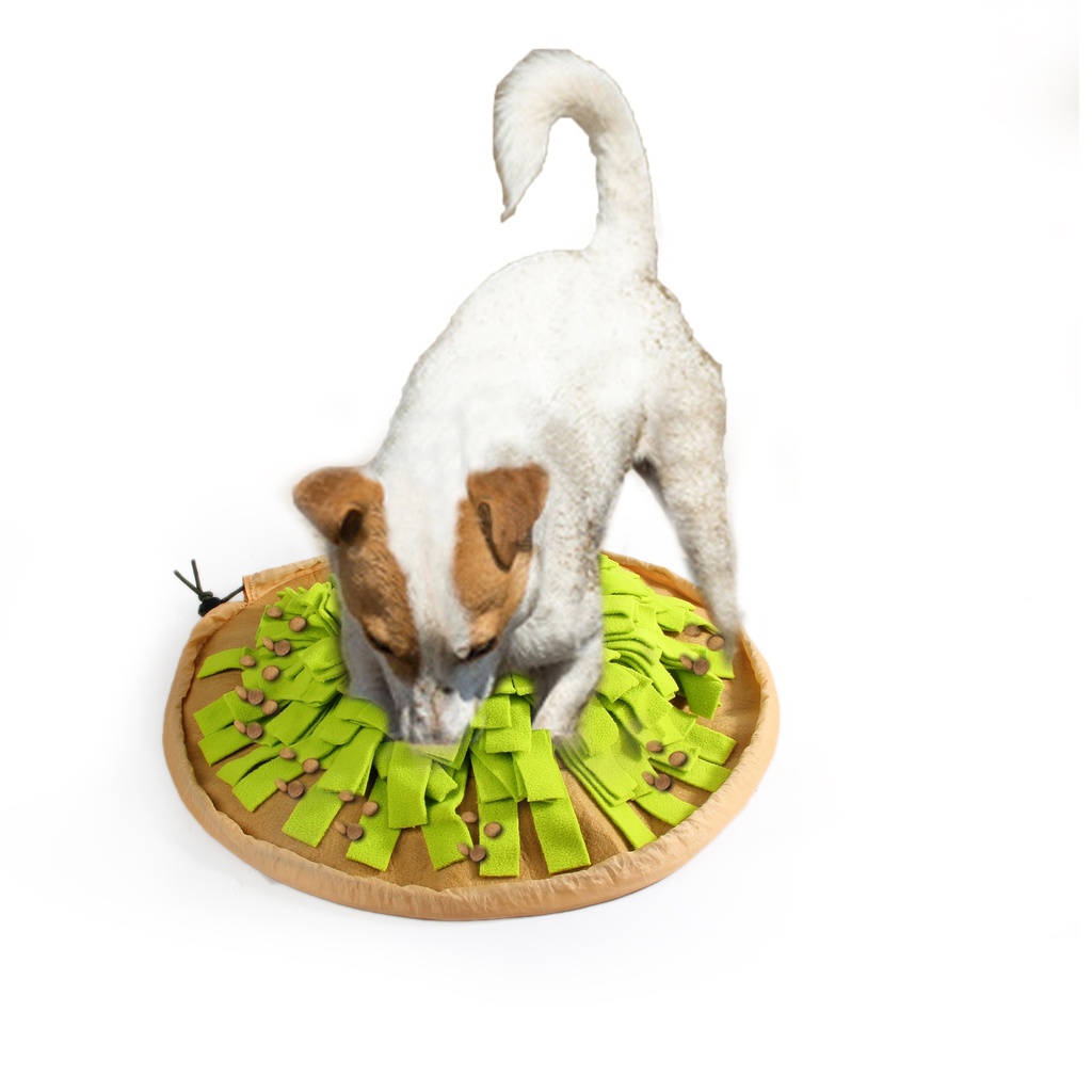 afp-All for Paws Dig It Foldable Treat Mat