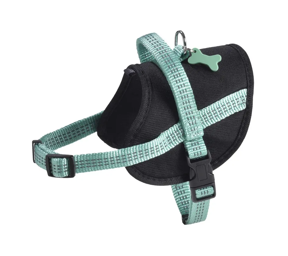 Bobby Easy Safe Harness Lagoon Color Large