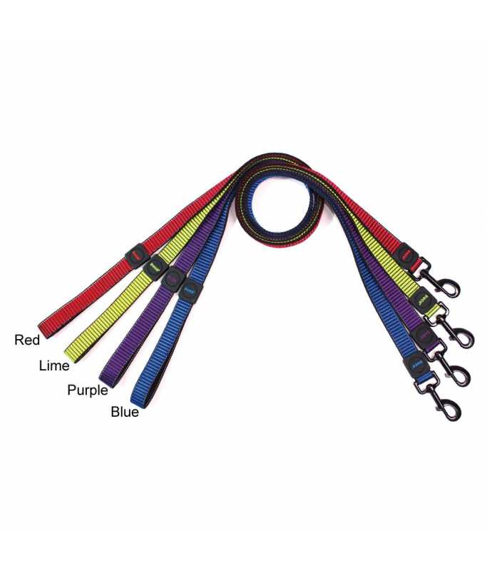 Doco 4Feet Martini Bean Leash Blue Medium