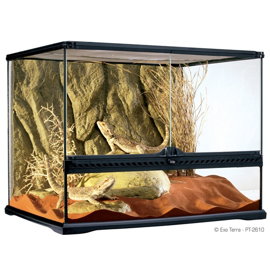 Exo Terra All Glass Terrarium Reptile Products LWH 60x45x45cm