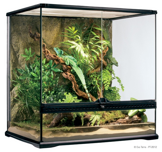 Exo Terra Glass Natural Terrarium Reptile Products Medium / Tall LWH 60x45x60cm 