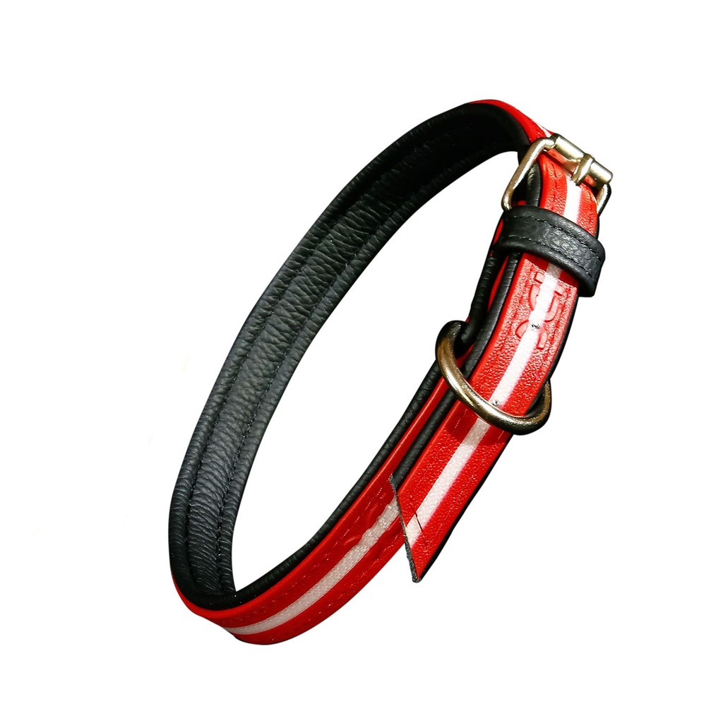 Julius-K9 IDC Lumino Phosphorescent Collar, 25 mm x 50 cm, Red Dog Collars & Leashes