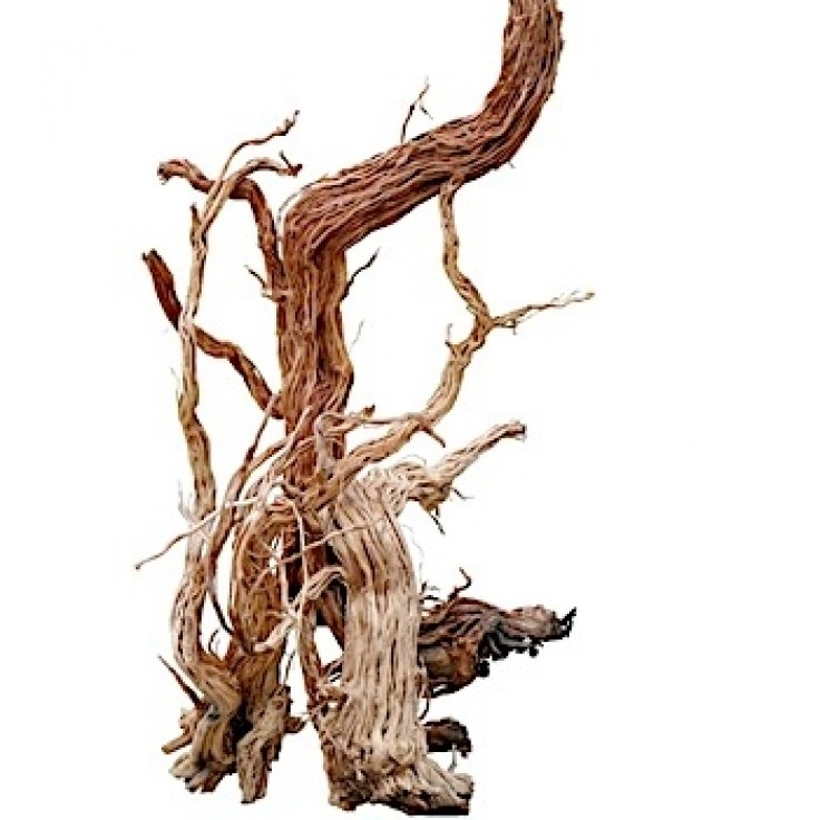 SV Aquarium Deco Azalea Wood-S Shape / 110-120CM / PC